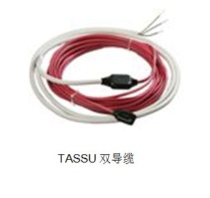 TASSU˫ 