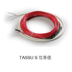 TASSU S˫